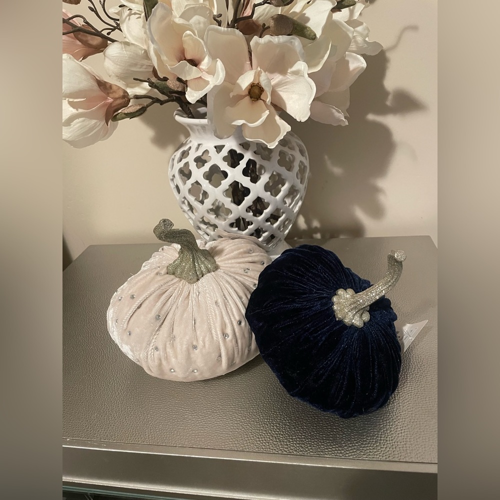 Two Velvet Pumpkins